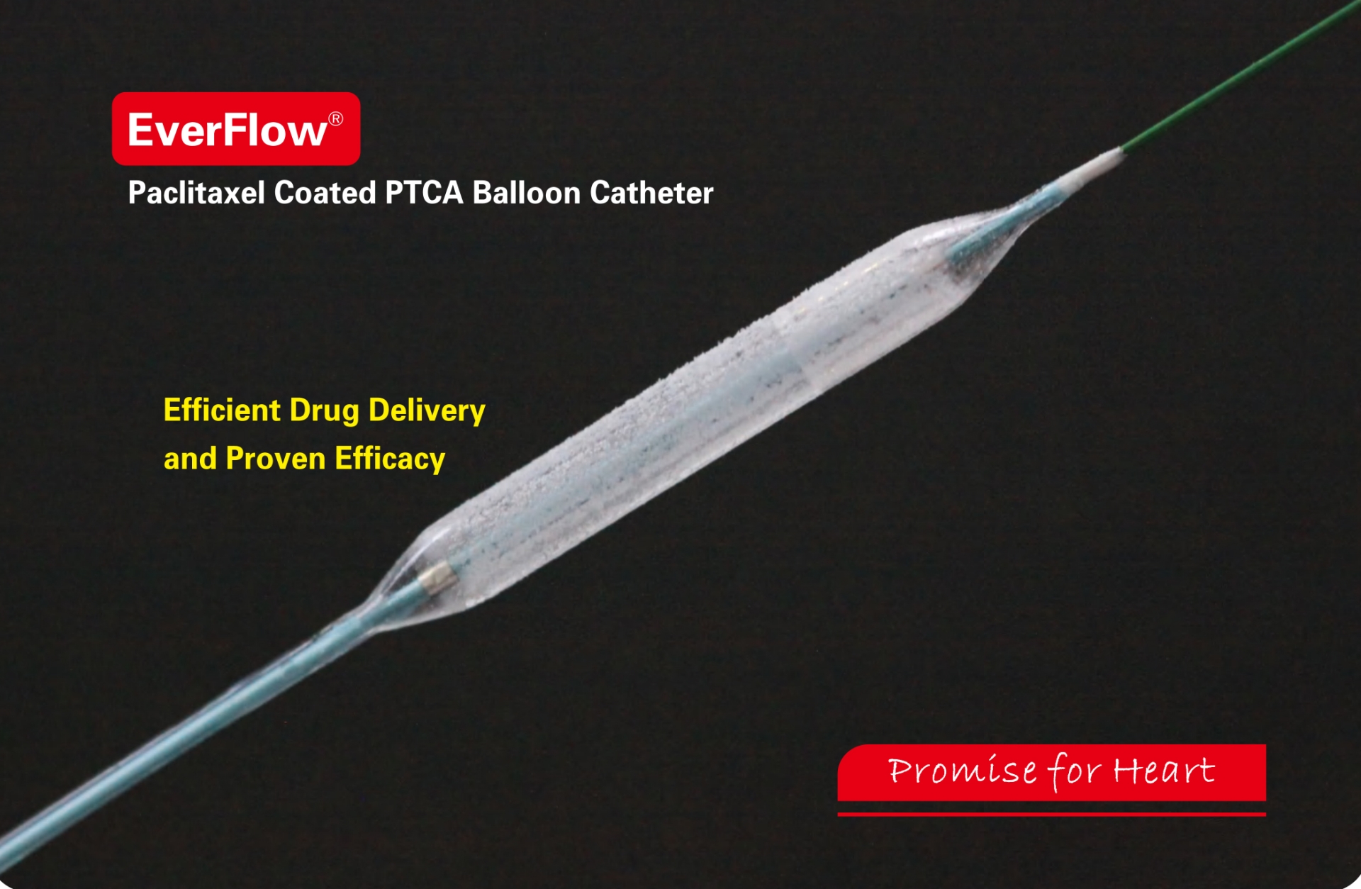 EverFlow Paklitaksel Kaplama PTCA Balon Kateteri