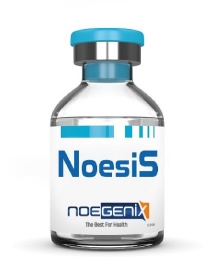 Noesis